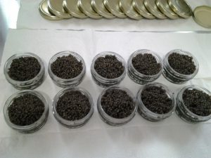 قیمت خاویار فیل ماهی در اینترنت
