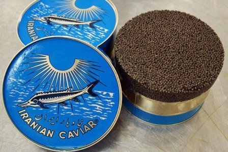خاویار ازون برون و فیل ماهی