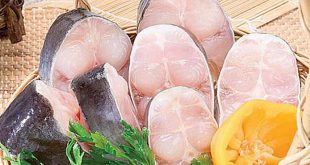 فروش گوشت خاویار فیل ماهی