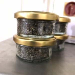 قیمت خاویار بلوگا کاسپین