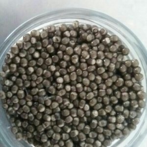 خاویار بلوگا درجه یک