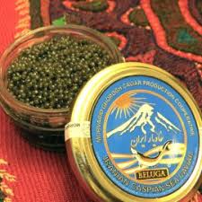 بازار فروش فیل ماهی