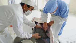 تولید خاویار فیل ماهی در ایران