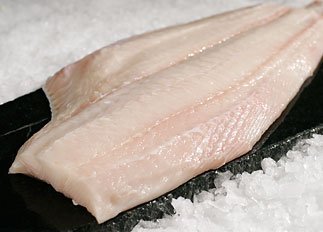 صادرات گوشت خاویار بلوگا
