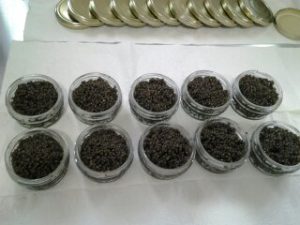 خاویار بلوگا امپریال فیل ماهی