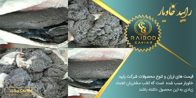 شرکت تولید خاویار