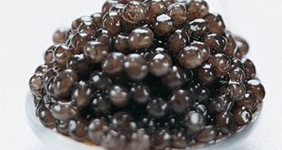 عرضه مستقیم خاویار بلوگا