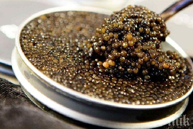 خرید اینترنتی خاویار طلایی قزل آلا