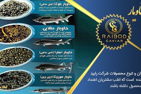 فروش انواع خاویار در تهران