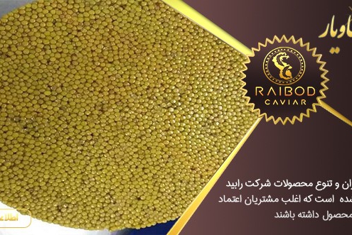 خاویار طلایی قیمت فروش