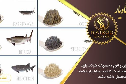 قیمت انواع خاویار پرورشی