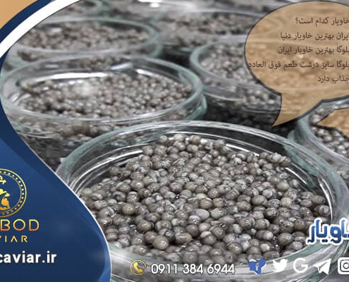خرید خاویار اصل ایرانی
