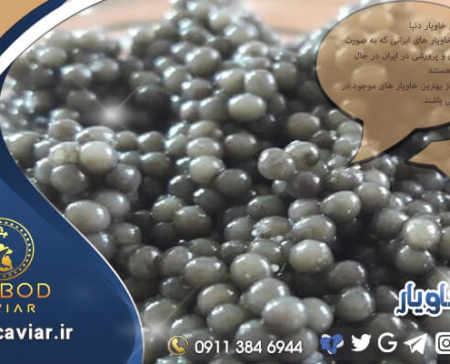 خرید اینترنتی خاویار بلوگا رویال