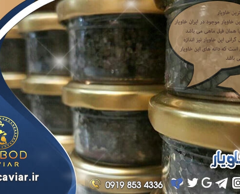 عرضه خاویار درجه یک در تهران