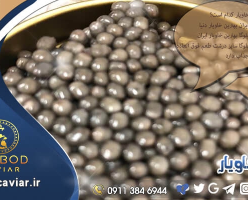 خرید خاویار بلوگا اعلا
