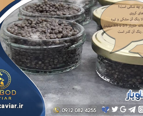 پخش خاویار به صورت اینترنتی