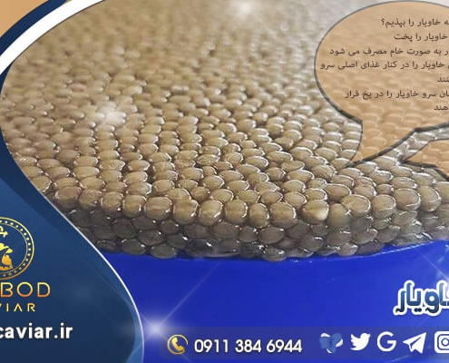 بهترین خاویار ایرانی برای صادرات