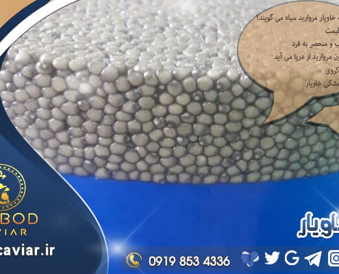 خرید خاویار صادراتی از ایران